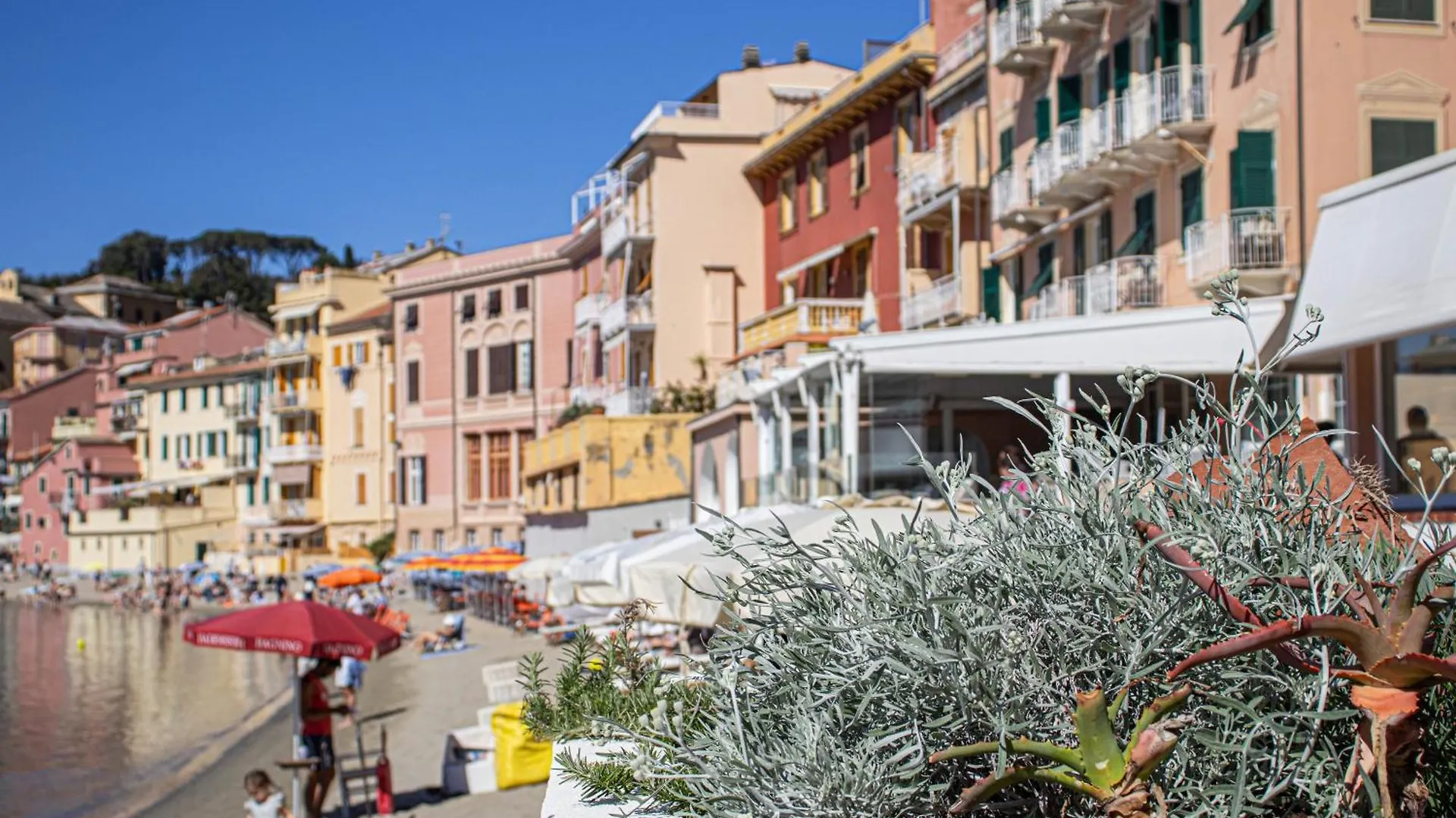 245 - Casa Johanna, Centro Storico, 140Metri Dalla Baia Del Silenzio Patrimonio Unesco Spiaggia E Mare Apartment Sestri Levante Italy