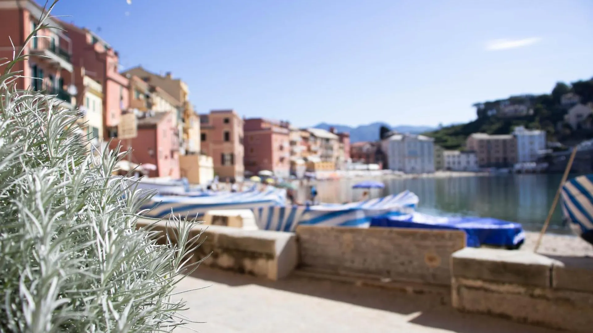245 - Casa Johanna, Centro Storico, 140Metri Dalla Baia Del Silenzio Patrimonio Unesco Spiaggia E Mare Apartment Sestri Levante Italy